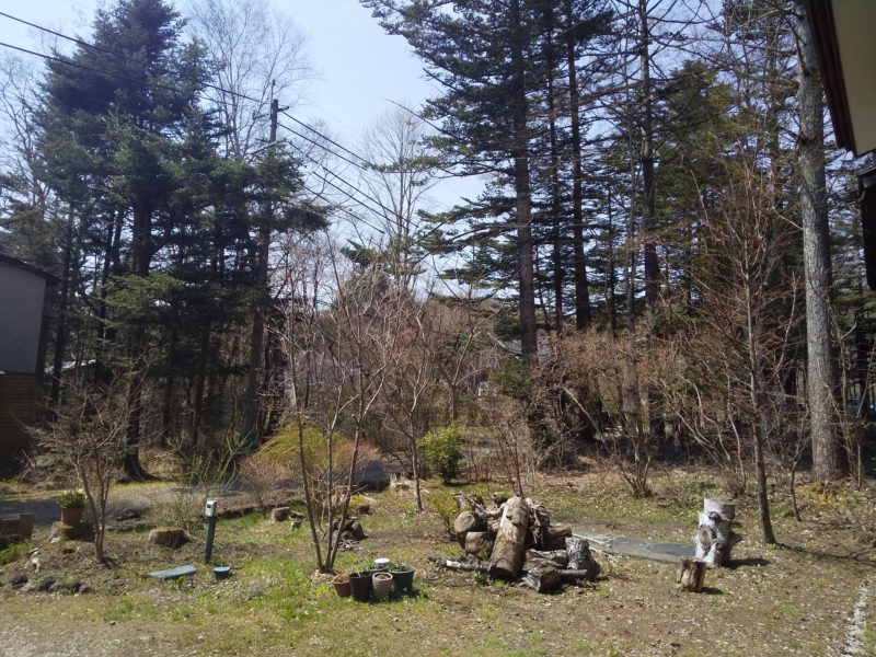 ５月の軽井沢（庭の様子）