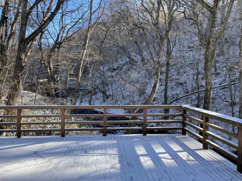 軽井沢の冬の始まりを感じる雪景色