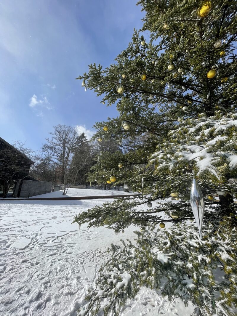 星野エリアもみの木広場の雪景色
