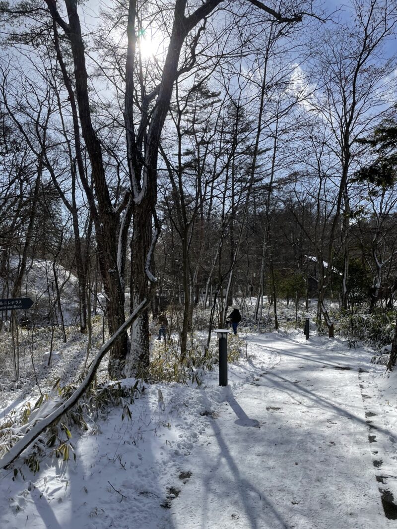 星野エリアの遊歩道も雪景色