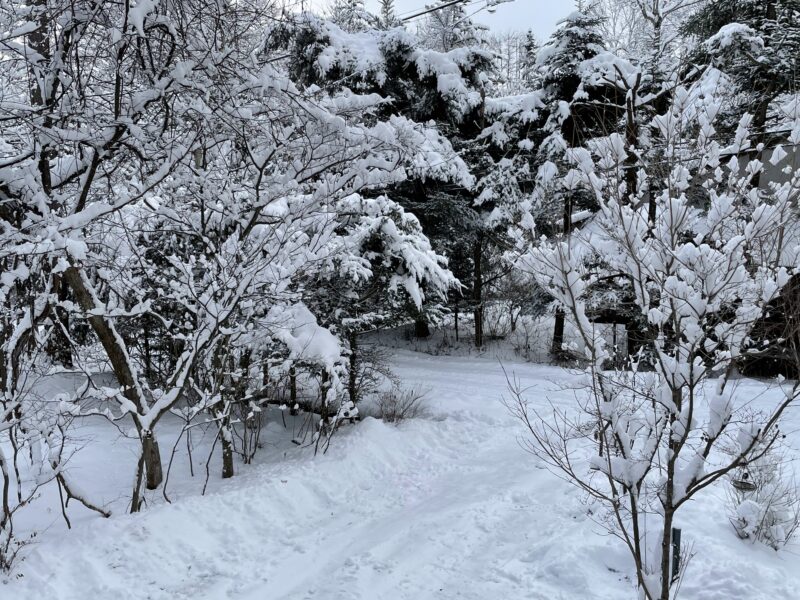 軽井沢の雪景色は水墨画