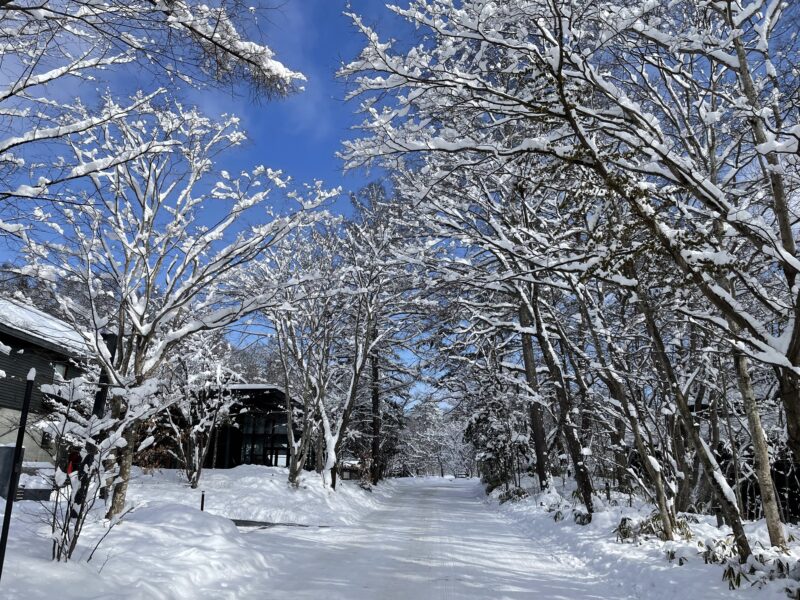 軽井沢星野エリアの雪景色