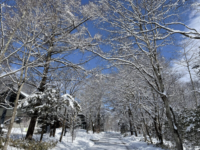 軽井沢星野エリアの雪景色